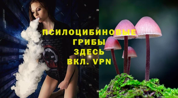 марихуана Белокуриха