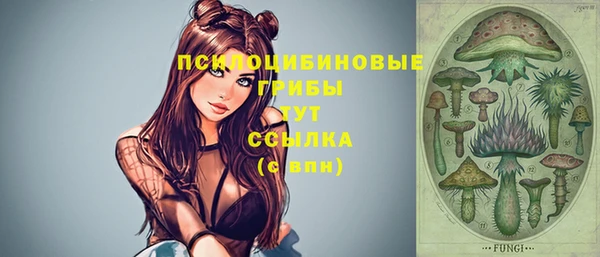 молекула духа Беломорск